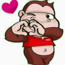 피부 관리기 도착요 이미지