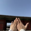 조작가스냅