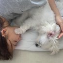 똘똘이문구 - 중구 문창로 52 | 똘똘이문구