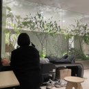 세라젬 롯데백화점 광주점 이미지