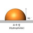 신동-65 이미지