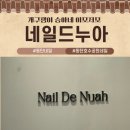 누아(nuah) | 동탄호수공원 네일 라크몽B동위치 주차 네일드누아 방문후기