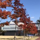 (구)공설운동장 앞 | 충주 구 공설운동장 야현체육센터&amp;야현공원 단풍구경 산책하기 좋은 곳