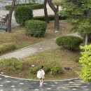 동암약수터 이미지