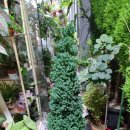 봉도농장 이미지