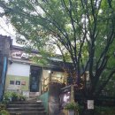 13월의 태양 이미지