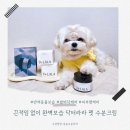 수의사가 만든 빠른흡수 가능한 반려동물 보습크림 닥터라라 펫 수분크림