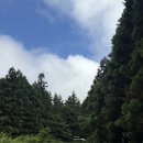 바리메오름 | 제주 서쪽 가볼만한 곳 추천 바리메오름 포토존