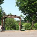 탄금호순환자전거길 9 | 평화누리길 4코스 행주나루길 완주 후기 및 상세 코스별 안내 (대중교통 안내)