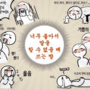 카스트로폴로스 이미지