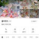 졸리쥬드 이미지