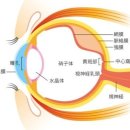 「망막박리」는 눈을 부딪힌 사람이 걸리는 질병？ 빨리 알아차리려면？ 이미지