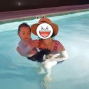 미가원 이미지