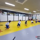 동아대박사태권도장 네이버블로그