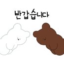 비에이치씨포항 이미지