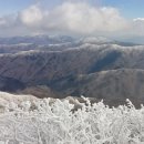 육가원칙 이미지