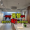 주식회사 나무인터내셔널 네이버블로그