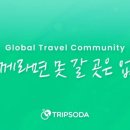 포인터스 이미지