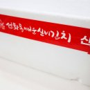 하하중구주식회사 | 선화동매운실비김치 '나홀로족실비세트(실비김치800g+실비파김치500g)'