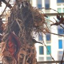 하얀둥지 이미지