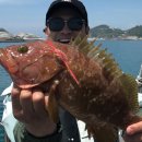 동보수산 이미지