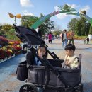 2019 오륙도평화축제 | 인천 드림파크 아이랑 국화축제 꽃구경 정보와 리뷰 그리고 주차