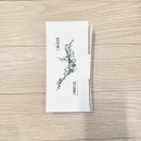 강진 백운차실 2025 모차 리뷰
