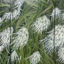 목원대학교 일반대학원 이미지