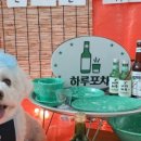 멍포차 이미지