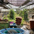 이장농장 이미지