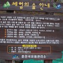 강촌유스호텔 이미지