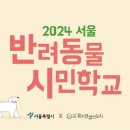 반려동물 훈련학교 이미지