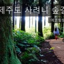 에코힐링 이미지