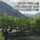 46 | [경북캠핑]경북 청도 연못뷰, 노키즈+애견동반 캠핑장, 아이고(I GO) 캠핑장 후기
