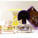 나잇플라잇 이미지