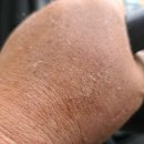 정만농장 이미지