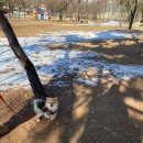 부평공원 이미지