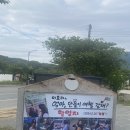 마당발 - 서산시 시장3길 22 | 경주 불국사 근처 이효리도 다녀간 마당발쭈꾸미 후기