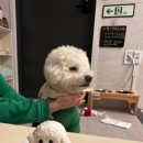 투포캠프 이미지