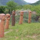 마고촌 이미지