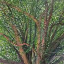 (주)나무와책 이미지