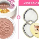 어텀컬러 이미지