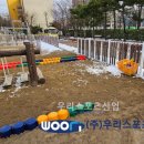 신성초등학교 이미지