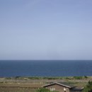 동은이꼬마김밥 상남본점 이미지