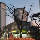 금별공인중개사사무소 이미지