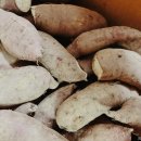 순희농장 이미지