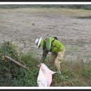 애월다래네 이미지