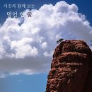 선택 이미지