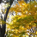 금강공원 이미지