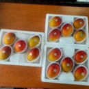 자래리농장 이미지